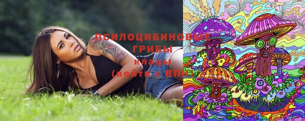 мдма Бородино