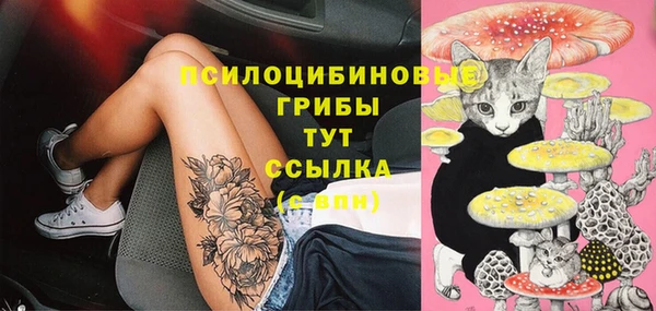 мдма Бородино
